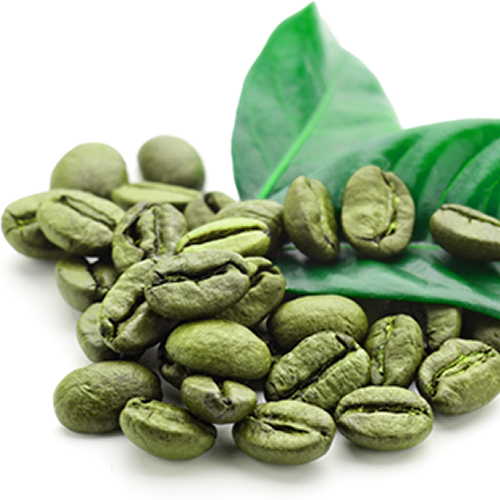 Coffea arabica - siemenet